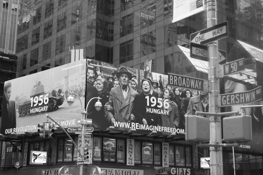 Fotó: C. J. Masimore